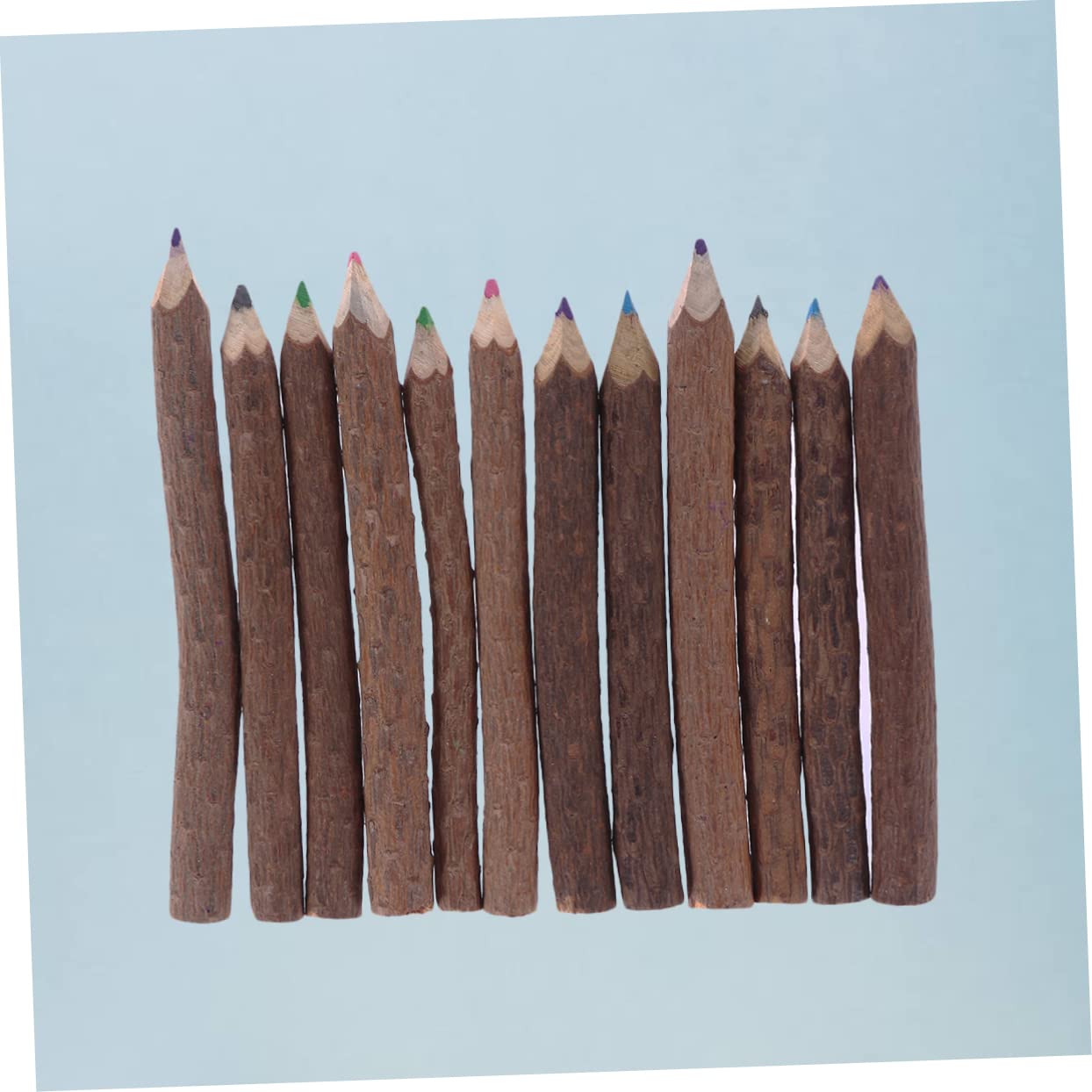 24pièces Crayons De Couleur Branches De Ensemble De Crayons Artistiques Pour Événements Créatifs