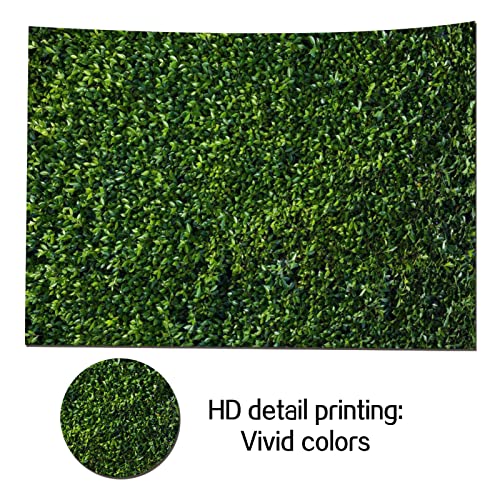 Fondo fotográfico HQM hojas verdes 5x3 FT miniatura 3