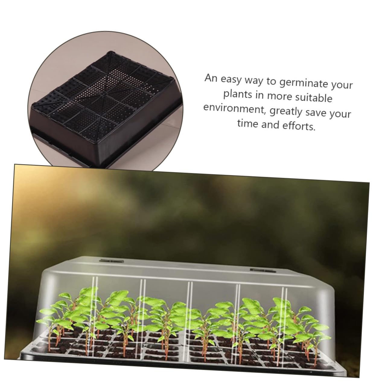 BESPORTBLE Vassoi per Piante in Plastica Vassoi Stella per Piante con Cupola di umidità con Piastra di Germinazione