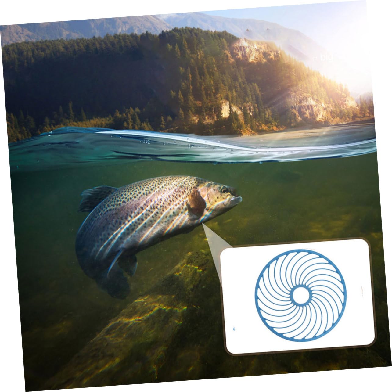 Toddmomy 2pezzi Disco da Lancio per Retino da Pesca in Acqua Salata Facile da Lanciare Accessori per Retino da Pesca Mano Anelli da Lancio