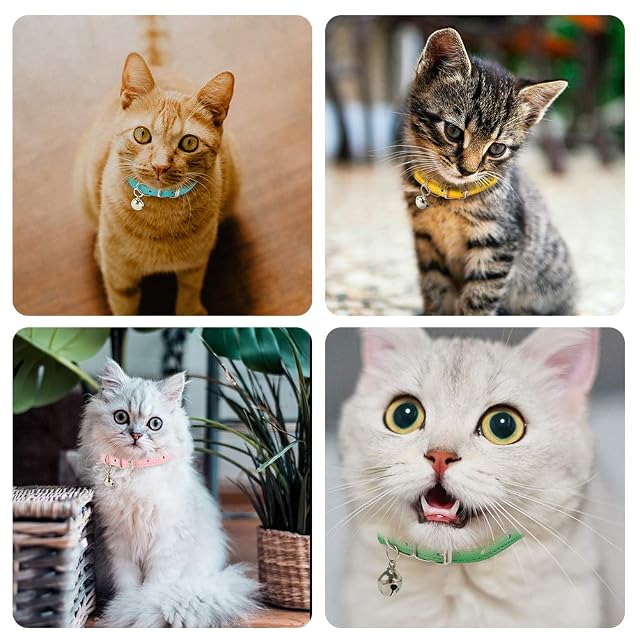 Foto 5 de 7 de Yorgewd Paquete de 6 collares de cuero para gatos con campana extraíble para gatos y cachorros