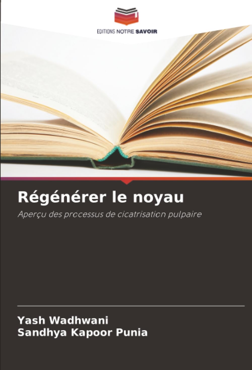 Régénérer le noyau: Aperçu des processus de cicatrisation pulpaire