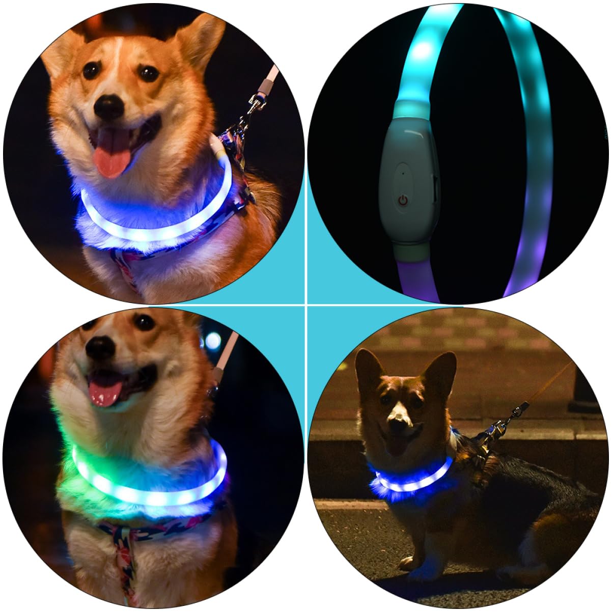FRCOLOR 3ensembles Collier LED pour Chien Collier USB Rechargeable Éclairage De Sécurité Et Décoration Personnalisable Et Pratique pour Promenades Nocturnes
