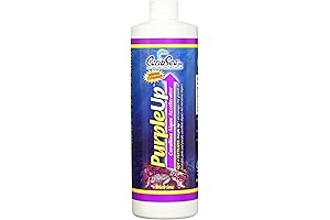 CaribSea Purple Up Algae Accelerator For Healthier Coral