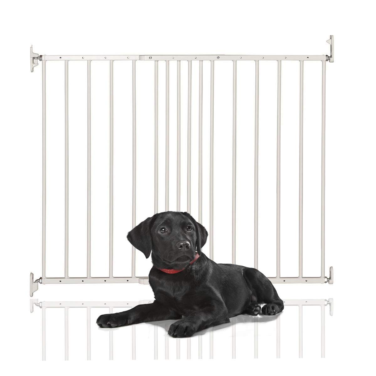Safetots Extending Metal Pet Gate (White)