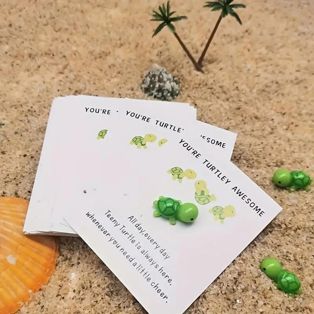 View 5