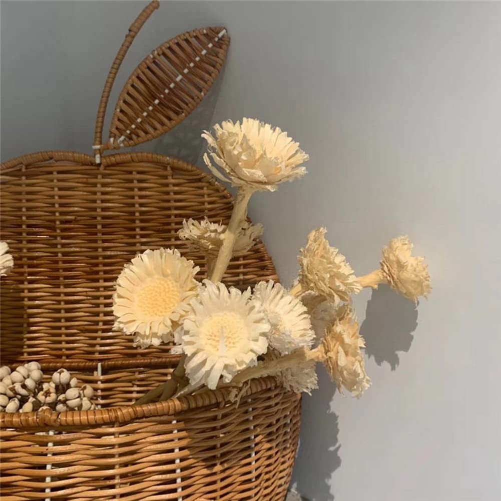 PLATEAU DE RANGEMENT Polyvalent En Rotin Panier De Fruits Rond En Osier