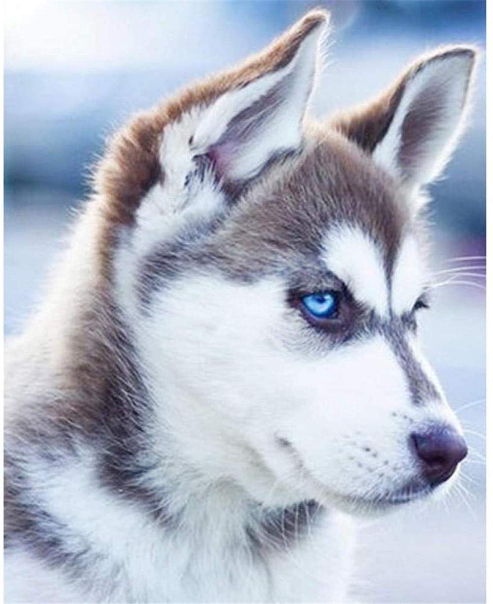5D Diamant Malerei Set „Husky Im Winter“ – DIY Vollbohrer Bild 30x60 Cm