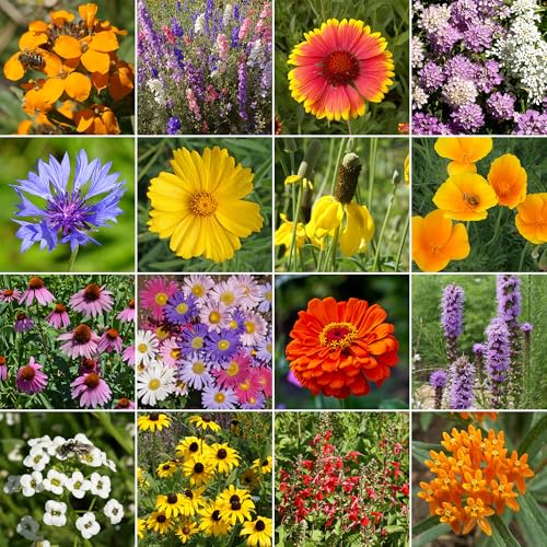 Image of Ferry-Morse Bird & Butterfly Bulk Wildflower Seeds, 210,000+, 1 lb