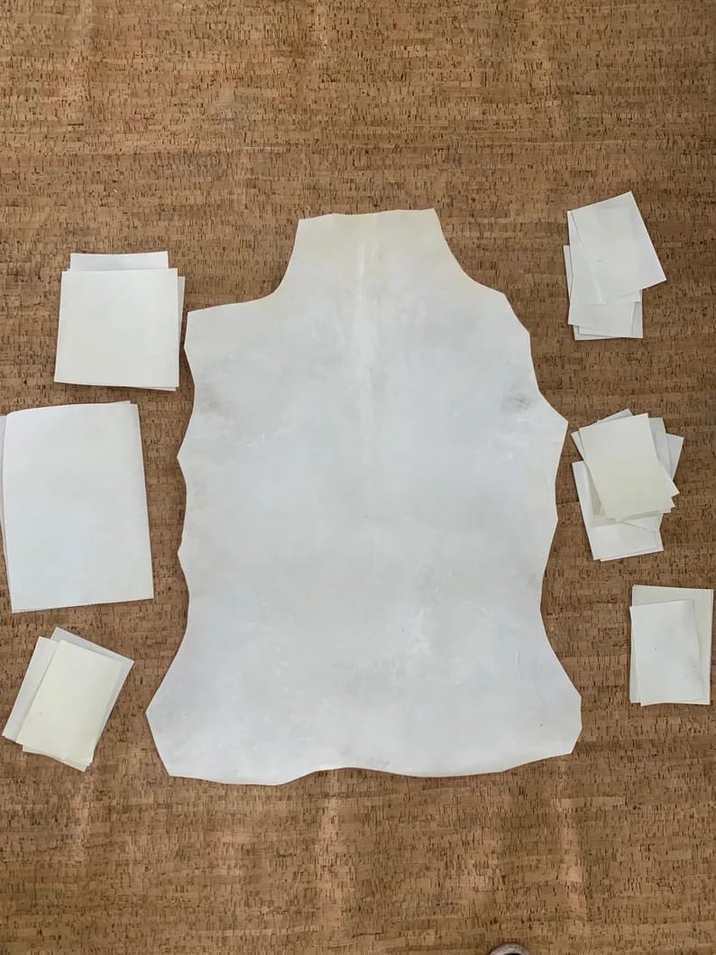 5 Pcs Goatskin Parchment Leather Vellum Full Hide Real Goat Skin, Vellum Stiff for Calligraphy Painting Bookbinding