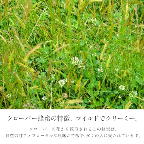 BeeWorks ニュージーランド産 クローバーはちみつ 1500g の商品画像 4