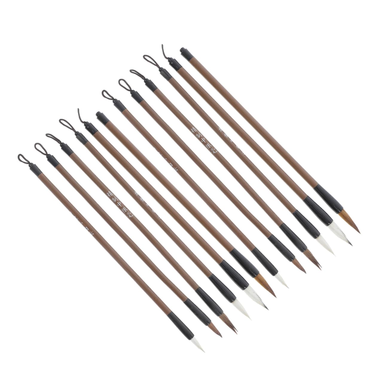 HEMOTON 12Pcs Calligraphy Brush Set Versatile Ink Painting Brushes for Students for Home School Art Classes for Calligraphy Practice Skill Enhancement