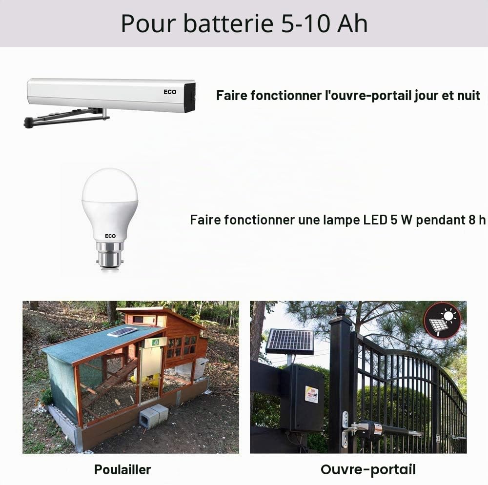 ECO-WORTHY Kit 10W 25W 12V avec Contrôleur 10A pour Porte Automatique, Pompe à l'eau, Appareil DC (10W Kit)