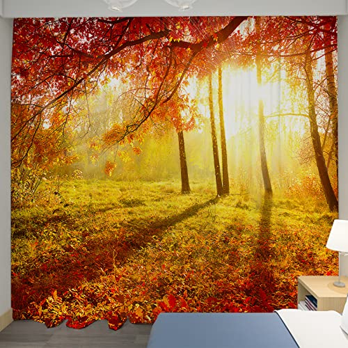 U-SITU J[e J iJ[e Ռ fM h UVJbg CeA Ⴂ |o  J i RiF  ډB ͋C]iTCYF100 x 200cm x 2gjCL0084S