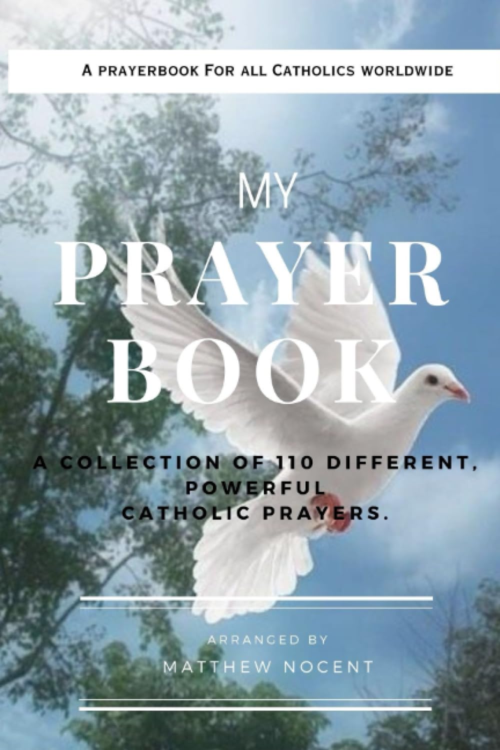 My Prayer Book.: A Collection of 110 different, powerful Catholic prayers.