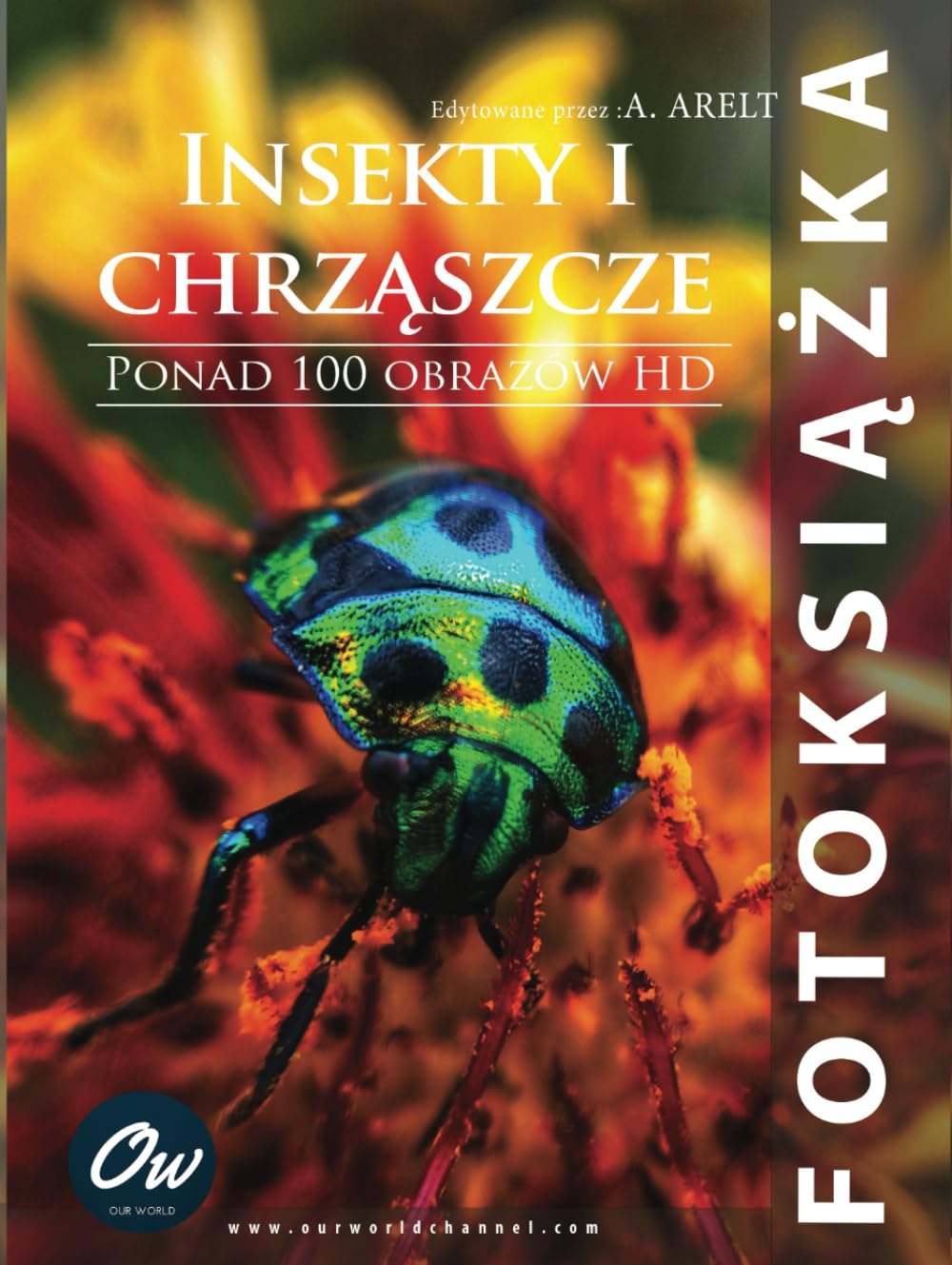 Livre photo insectes idée cadeau originale pour passionné nature
