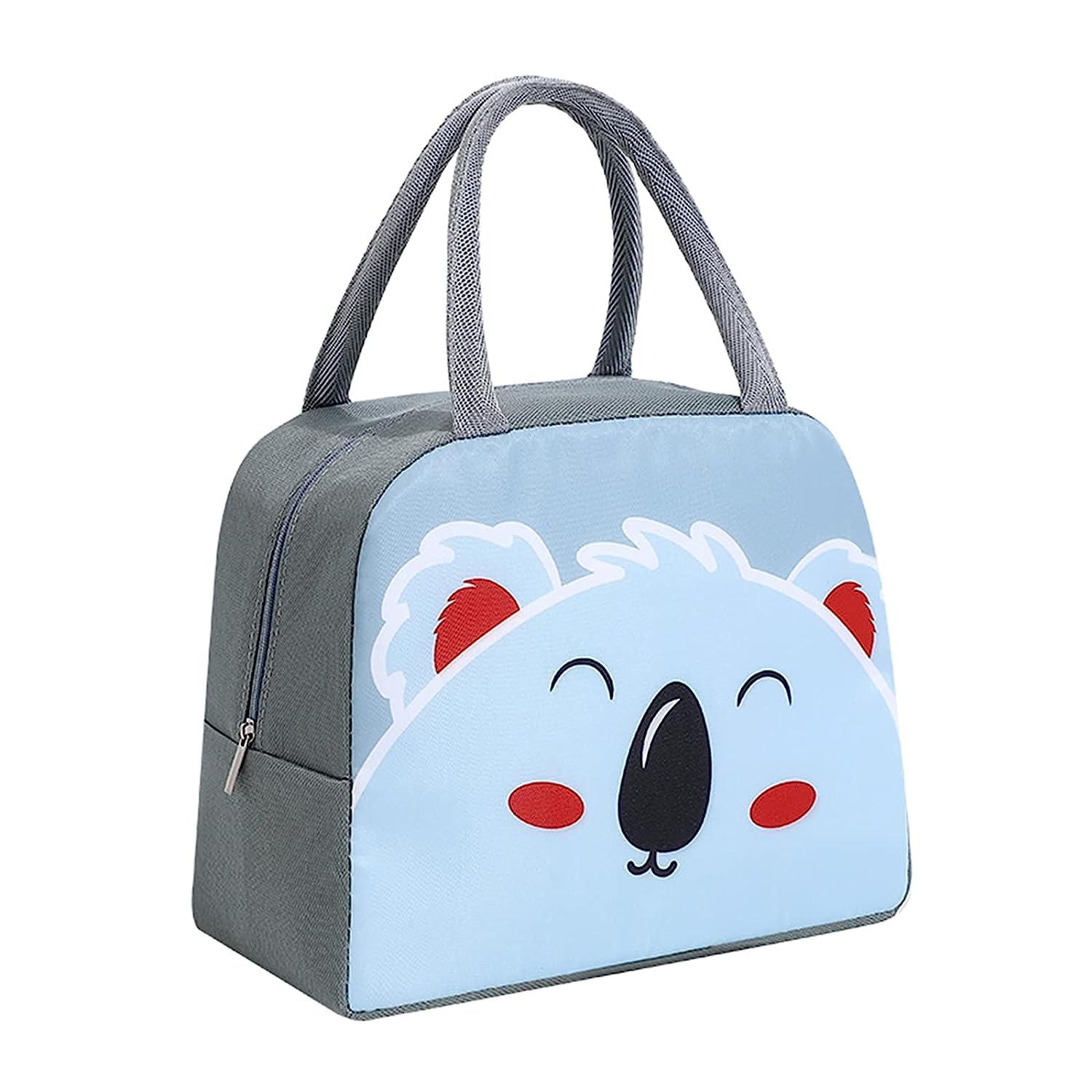 HOUSEHOLD CULTURE Stylish Lovely Lunch Bag Tote Bag with Dinosaur Printed Logo for Women Girl for School Picnic Office Outdoor Gym (Grey Bear, Grey) (B0C9TBQC9Q) Amazon Price History, Amazon Price Tracker