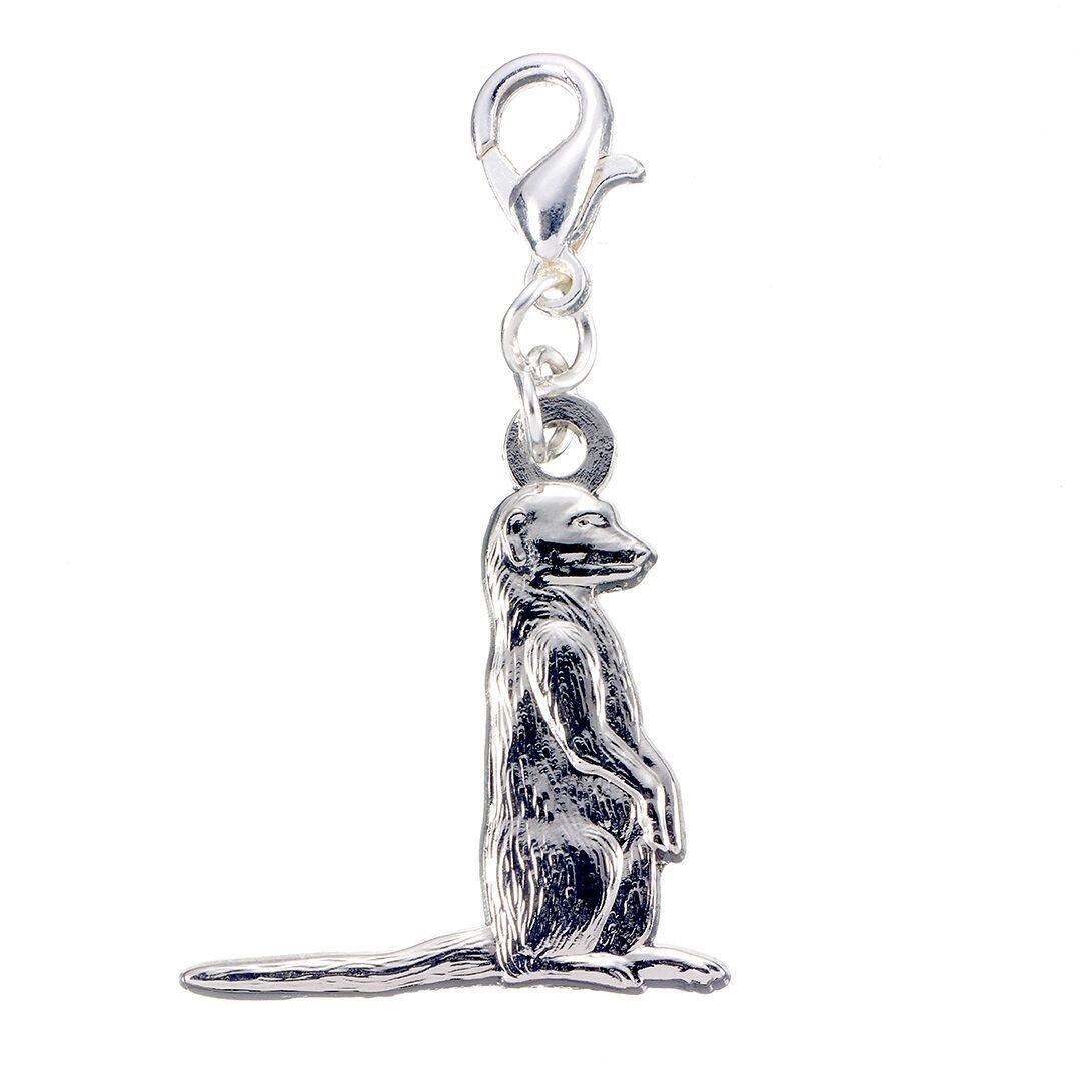 Natural History MuseumNatural History Museum Official Silver Plated Charm
