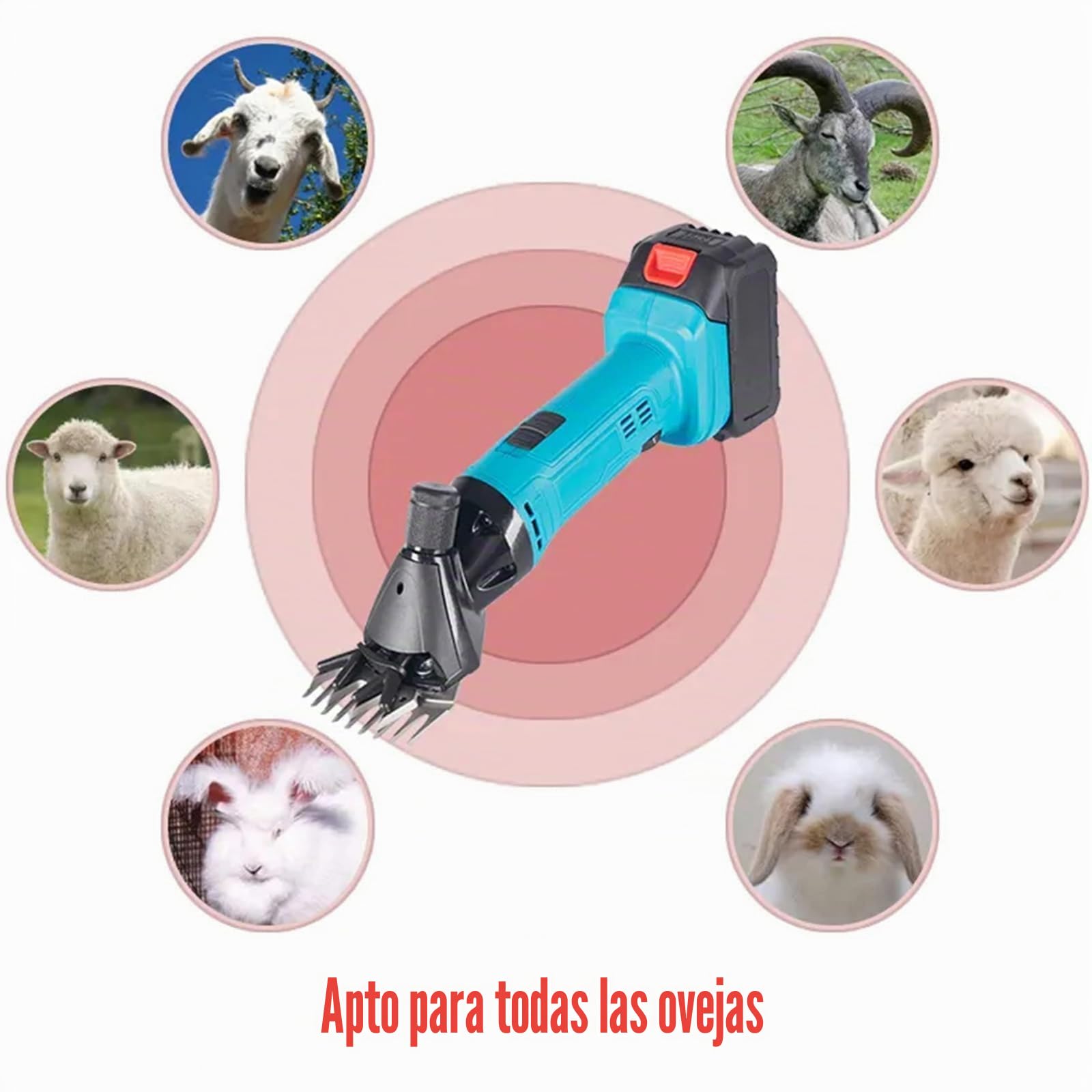 Máquina De Esquilar Ovejas Inalámbrica, Cortadora Eléctrica 300W Con 2 Baterías, Cuchilla 9/13 Dientes, 6 Velocidades Kit Para Lana Gruesa Ganado Cabras Alpacas 13-Teeth