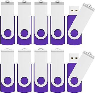 RAOYI 2GB USB Stick 2GB USB Flash Drive Bulk 10 Pack Small Capacity 2GB USB Key USB 2.0 Flash Drives Thumb Drives Memory Sticks (2G, Purple)