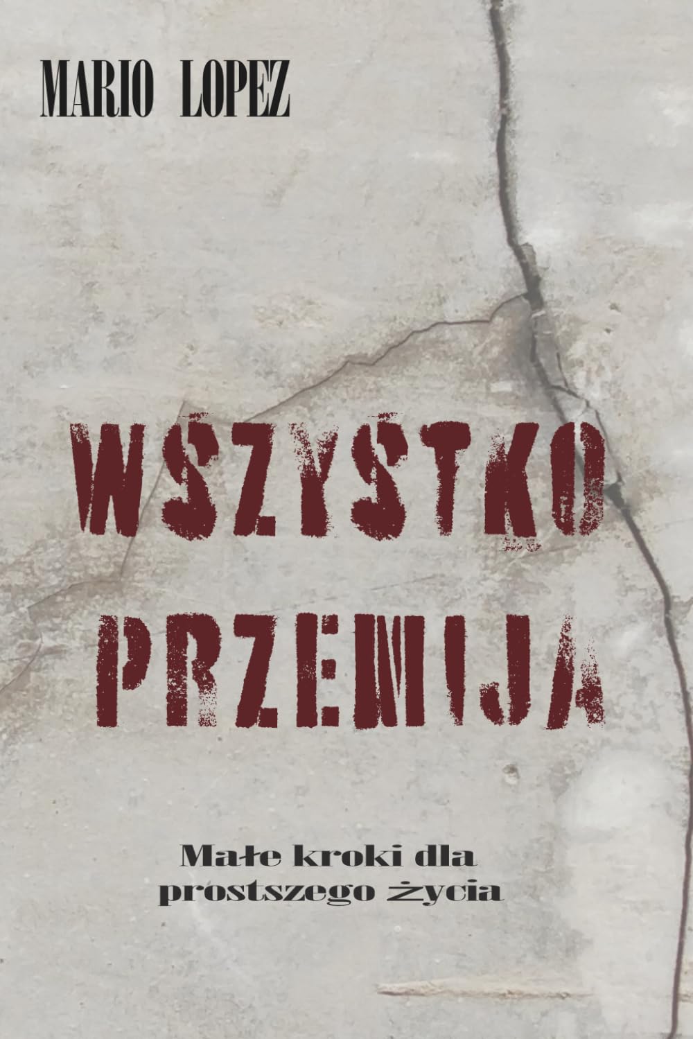 Wszystko jest tymczasowe.: Małe impulsy na lżejsze życie