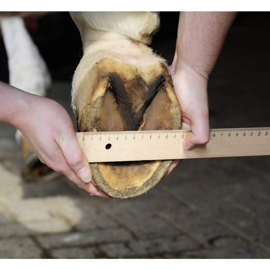 HKM Hufschuh für Pferde Pferdehufschuh Pferdeschuh Größe 7