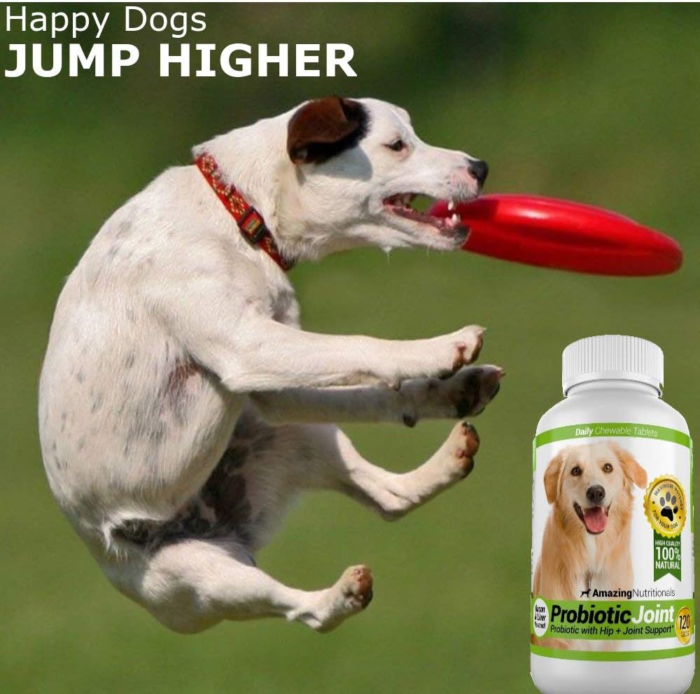 Amazing Cranberry + Probiotics for Dogs Bundle - UTI Prevention, Immune Support, Digestive Health, Incontinence, Gas and Diarrhea Elimination