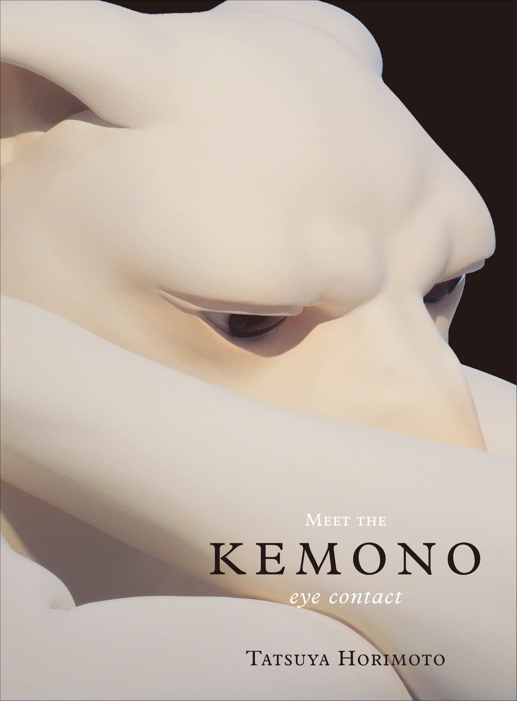 アート・デザイン・音楽 Meet the KEMONO: eye contact アート・デザイン・音楽 Meet the KEMONO: eye contact Meet the