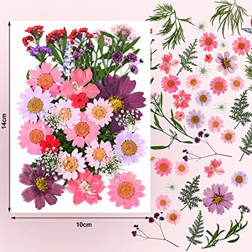Set de Pegatinas Naturales Flores Secas Presionadas y Mariposas miniatura 2