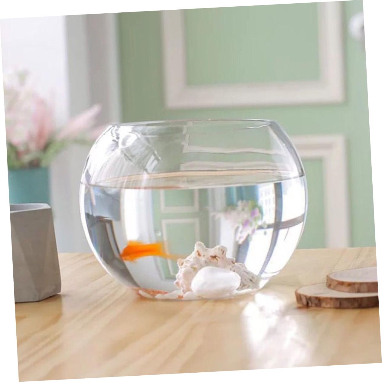 Acquario Rotondo Decorativo in Multifunzione Per Pesci Betta Per Ufficio Casa Moderno Design Salvaspazio