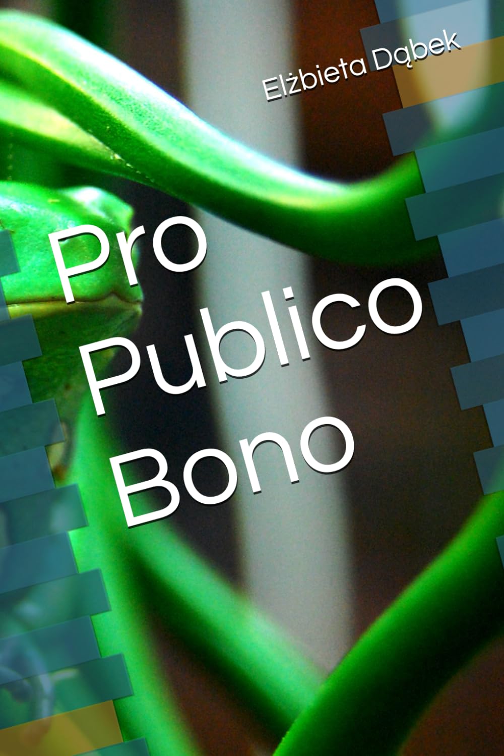 Pro Publico Bono