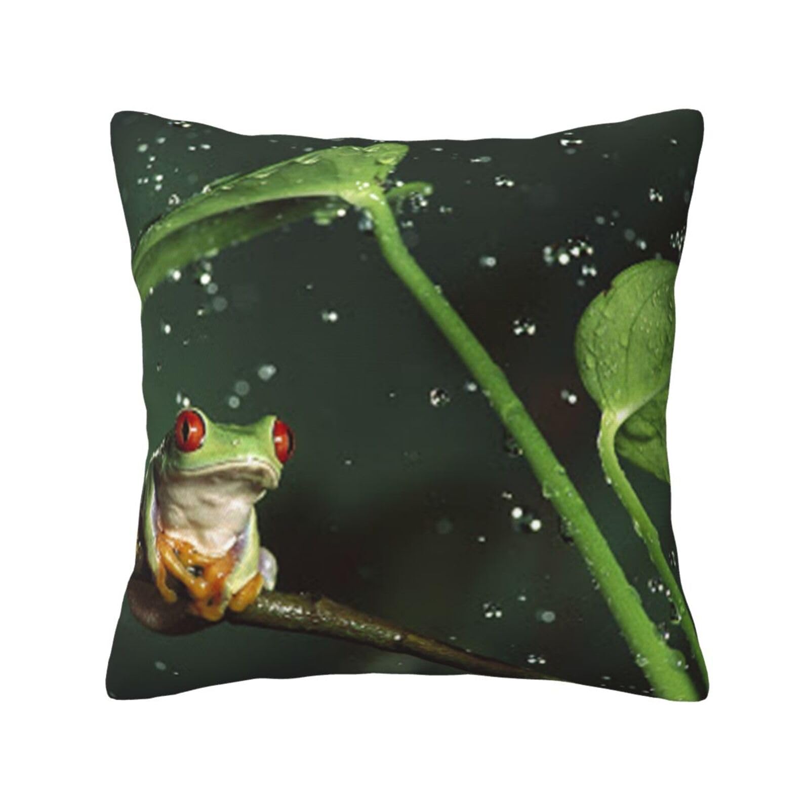 FFSHKOWE Frog and Rain Decorative Throw Pillow Cover Double-Sided Printed Cushion Cover for Sofa Couch Bed Chair 40 x 40cm