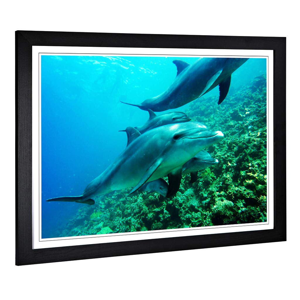Big Box Art Framed Print of Dolphins Design | Wall Art Picture | Home Decor for Kitchen, Living, Dining Room, Lounge, Bedroom, Hallway, Office, Black, A2 / 24.5x18 Inch / 62x45cm