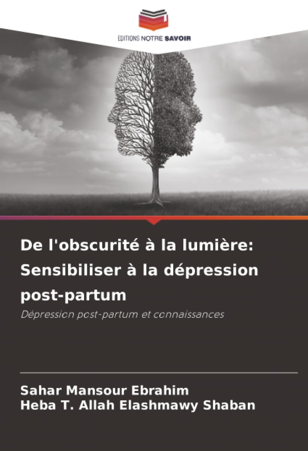 De l'obscurité à la lumière: Sensibiliser à la dépression post-partum: Dépression post-partum et connaissances
