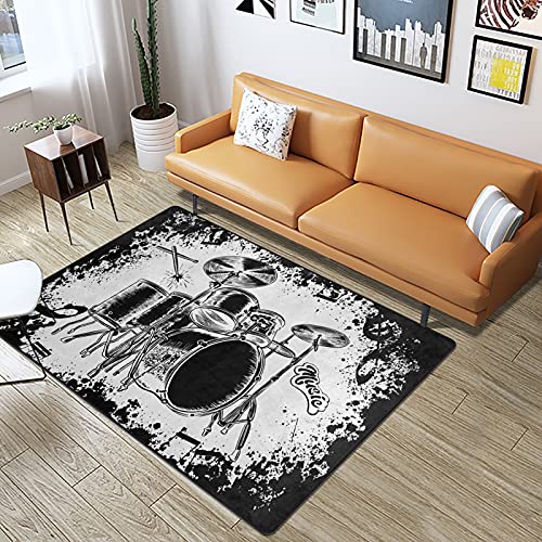Best Cheap Drum Rug Expert Review The Modern Record