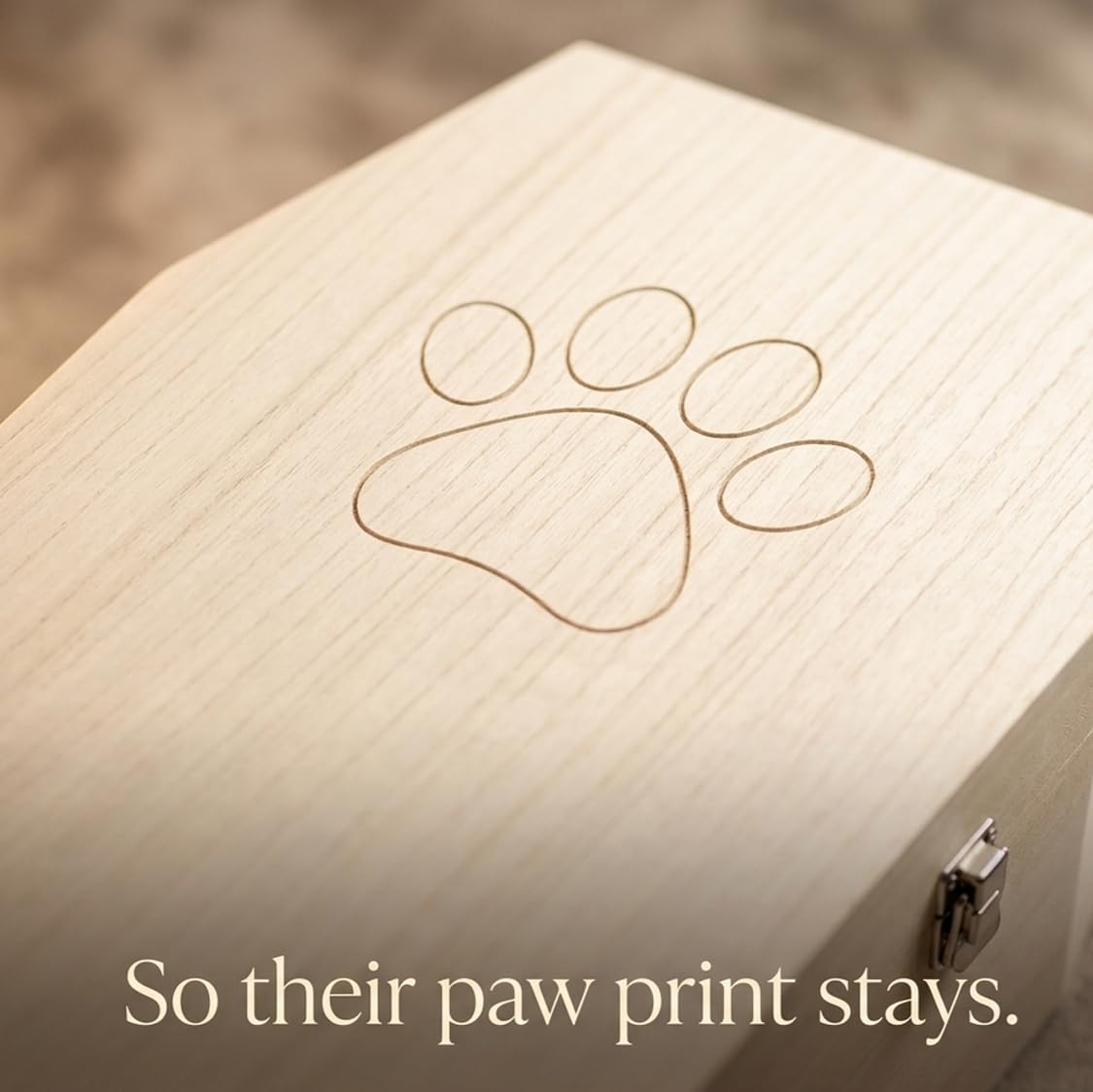 PrimoLiving bara per Animali Domestici in Legno Finitura Naturale - Misura L per Piccoli Animali Domestici - bara per Animali Domestici con Chiusura Fissa in Metallo - bara in Legno di Alta qualità