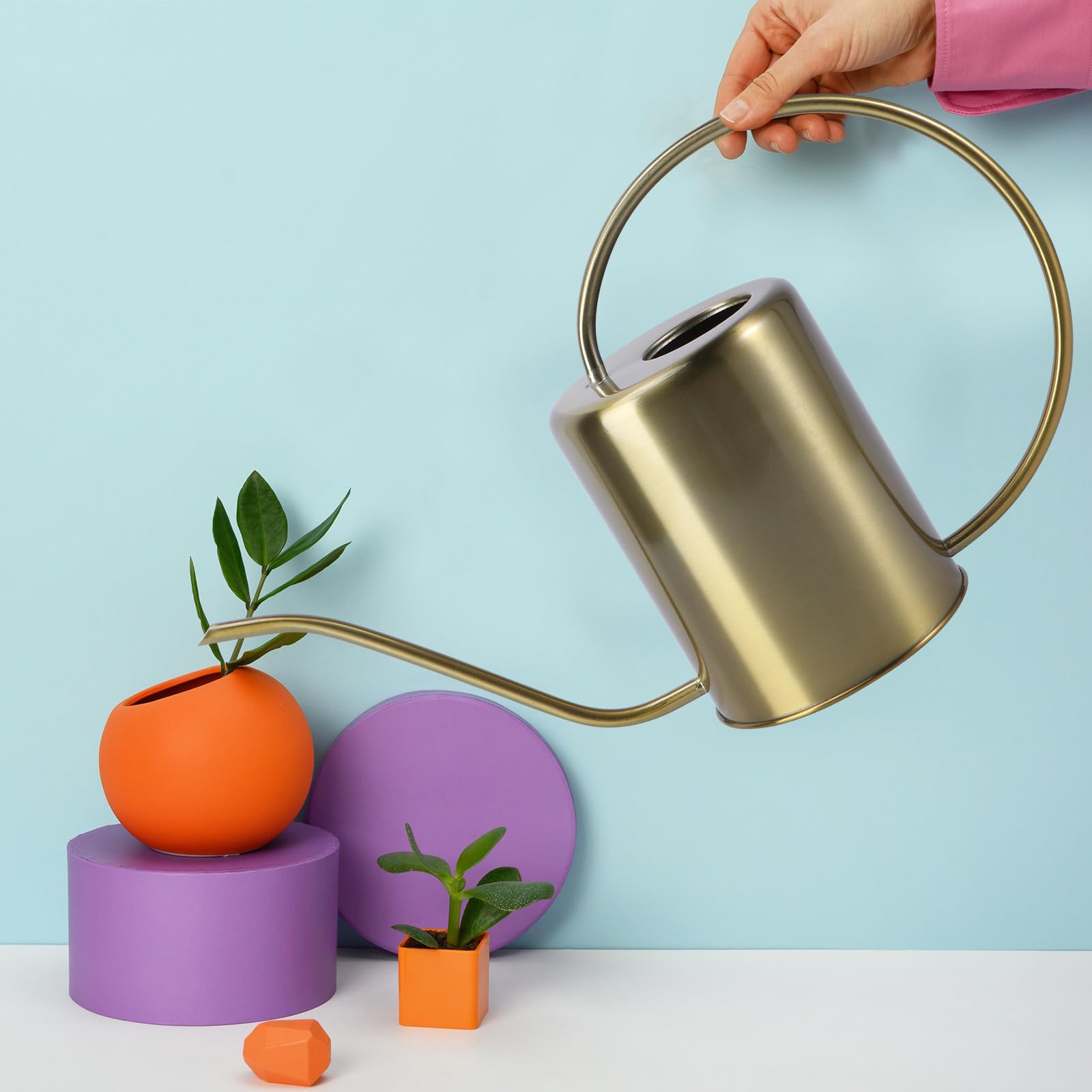 TEHAUX Arrosoir en Acier Inoxydable 2000ml à Long Bec Classique, Étanche et Facile à Transporter pour Jardinage et Maison