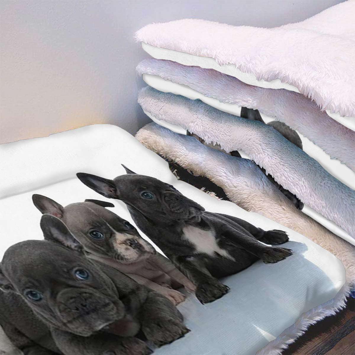 review White Beige Thermal Pet Mat Bed Liner Bulldog Group Young Ultra Soft Warm Plush Puprug Puppy Bed Cushion Animal 19