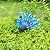 MACLARONX Metal Peacock Garden Yard Art Outdoor Statue Standing Sculpture for Backyard Lawn Patio Home Decorations, 17'' W Multi-Color, Blue-peacock