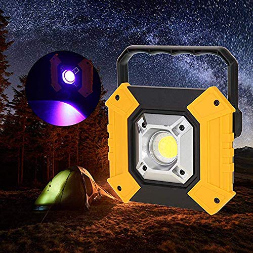 Faro Luce LED Portatile 10W Lampada da Lavoro 1000...