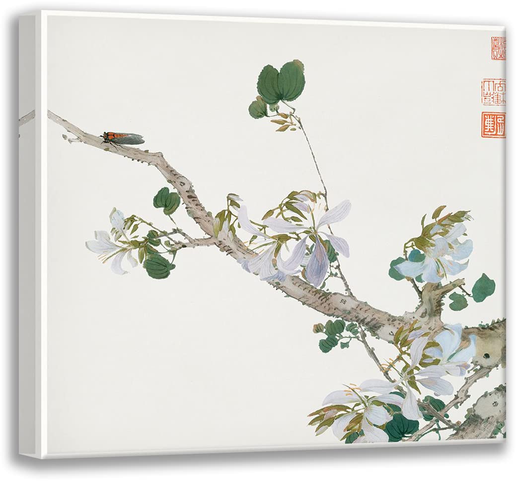 ArtDirect Insects and Flowers VI 16x15 Gallery Wrapped Canvas Museum Art by Lian, Ju