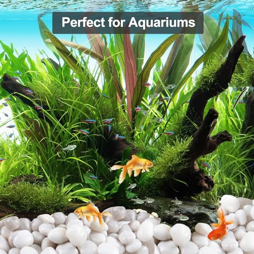 Image of 20Ib White River Rocks for Landscaping- High Polished Pebbles for Plants-Garden Decorative Stones-1-2 Large Plant Rocks,Ideal for Aquarium, Home Decor