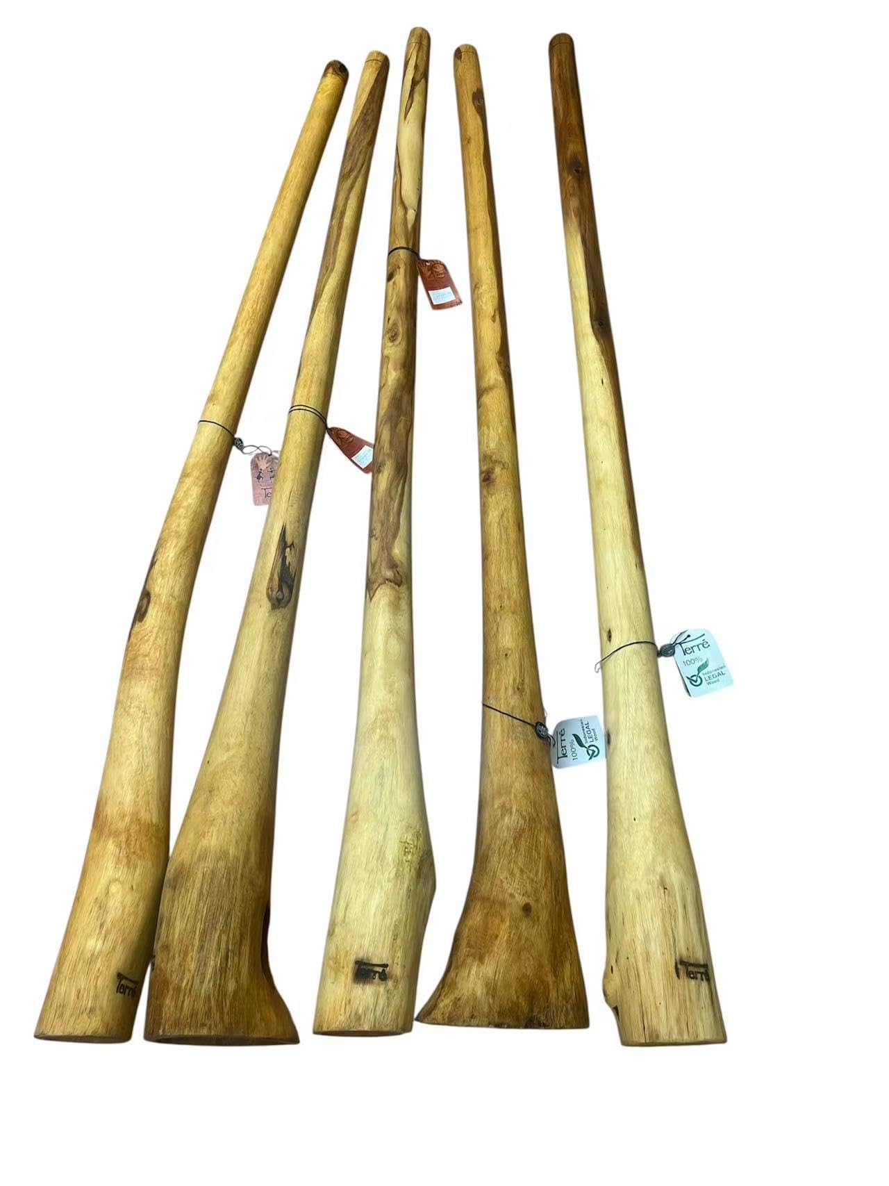 Amazon | ハンドメイドDidgeridoo ユーカリ(根) | ディジュリドゥ