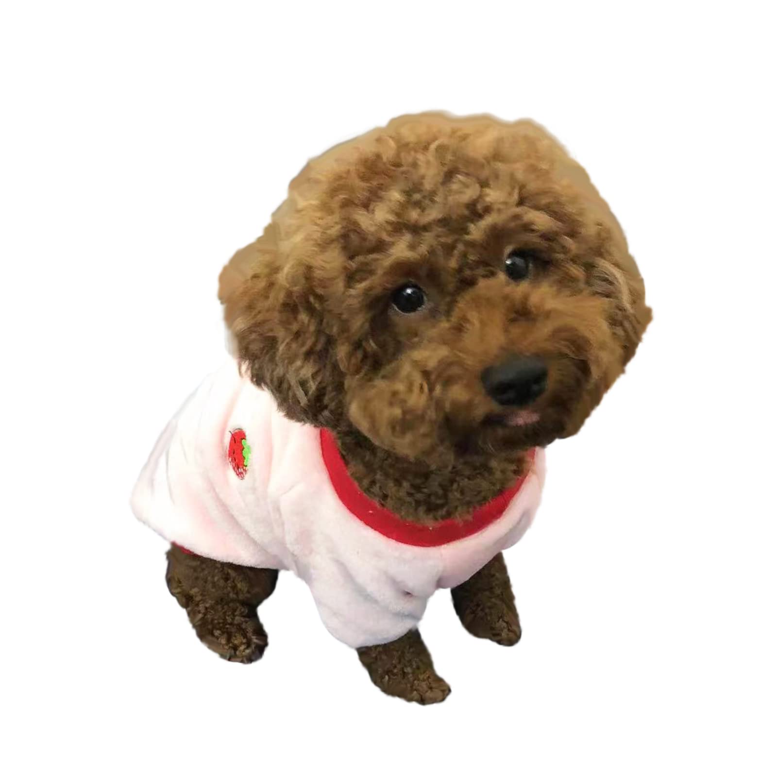 Puppy Dog Clothes Winter Sweater Warm, Flannel Velvet Pet Cat Cute Fruit Fleece Teddy Bichon Pomeranian Small Dog, Ideal Gift for Pet on Christmas (Large, Strawberry)