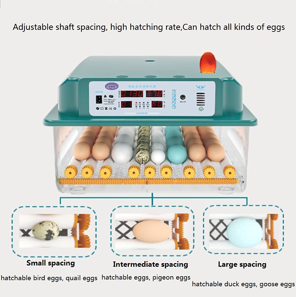 Incubadora automática de huevos con control de temperatura y humedad para pollos, pavos y codornices