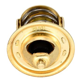 Amazon.com: Neeseelily Thermostat 6652760 MIT117001038