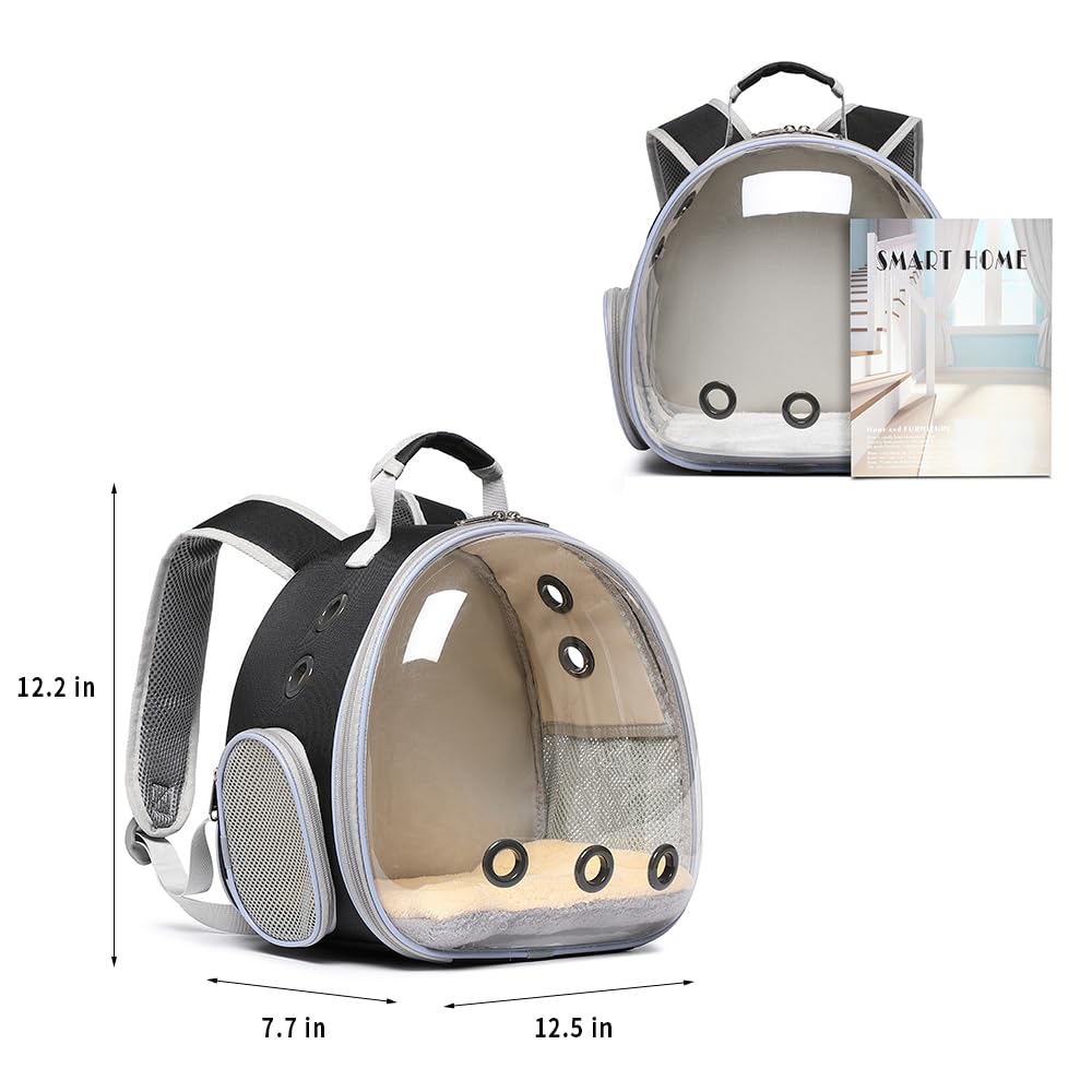 Sac à dos de transport respirant pour cochon d'Inde, lapin, dragon barbu, lézard, hamster, chaton - Parfait pour les visites vétérinaires et les aventures en plein air (noir)