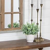 Vista 5 de Rinlong - Plantas para el exterior y flores mixtas