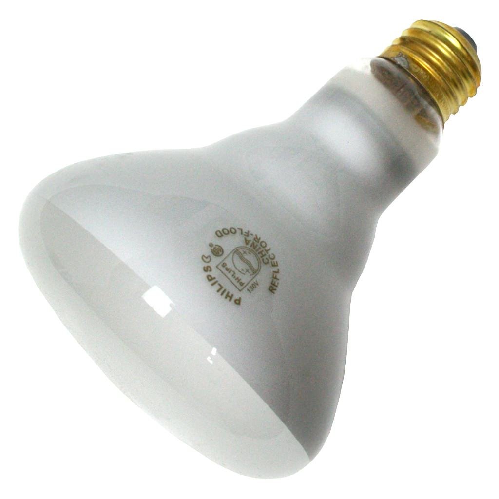 248849 - 65BR30/FL55 130V BR30 Reflector Flood Light Bulb by PHILIPS – 1 Count (Pack of 1), Warm White, Model 046677225209