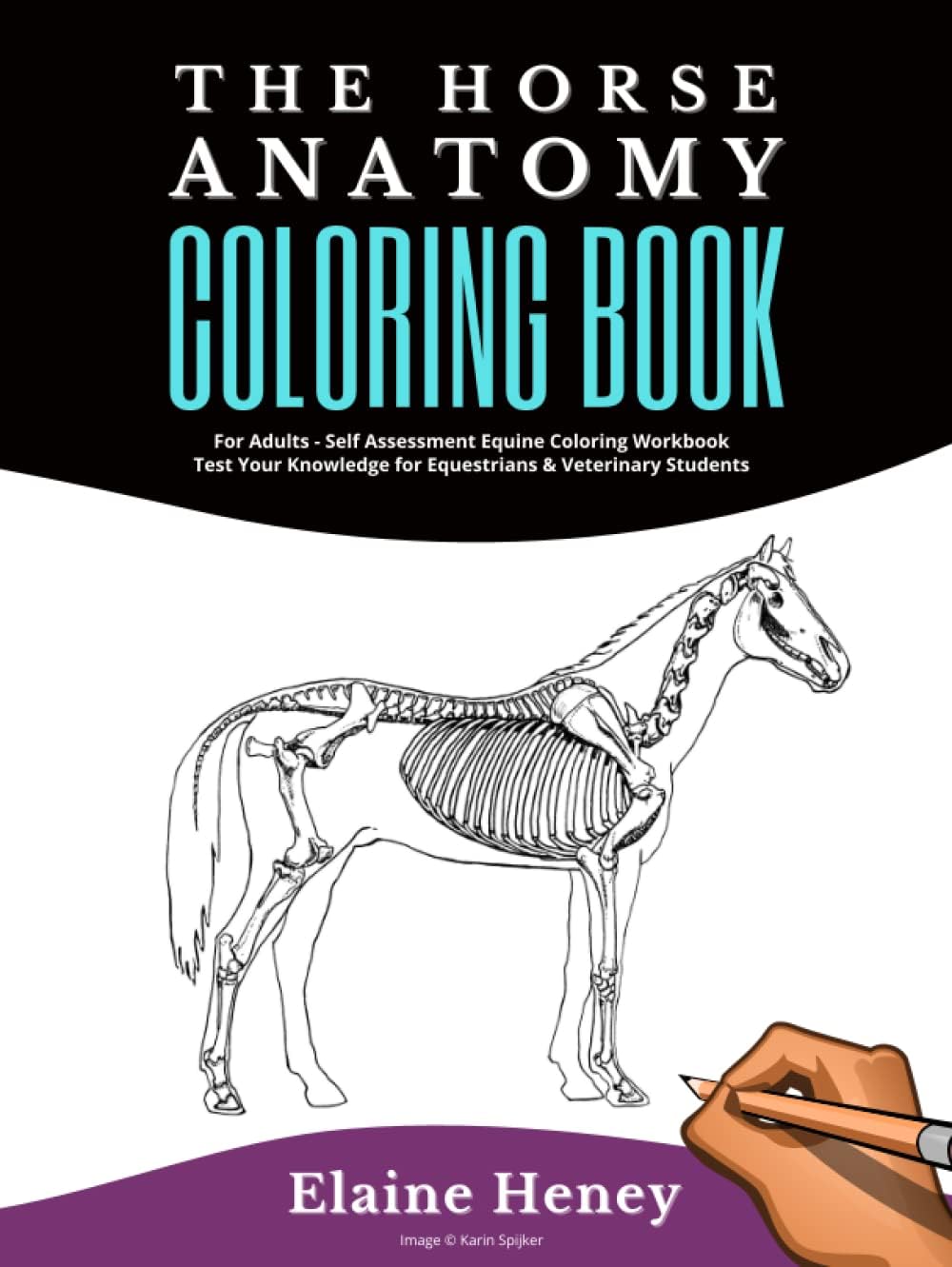 Horse Anatomy Coloring Book For Adults - Self Assessment Equine Coloring Workbook: Test Your Knowledge - For Equestrians & Veterinary Students (Equine Listenology Horse Riding Books)